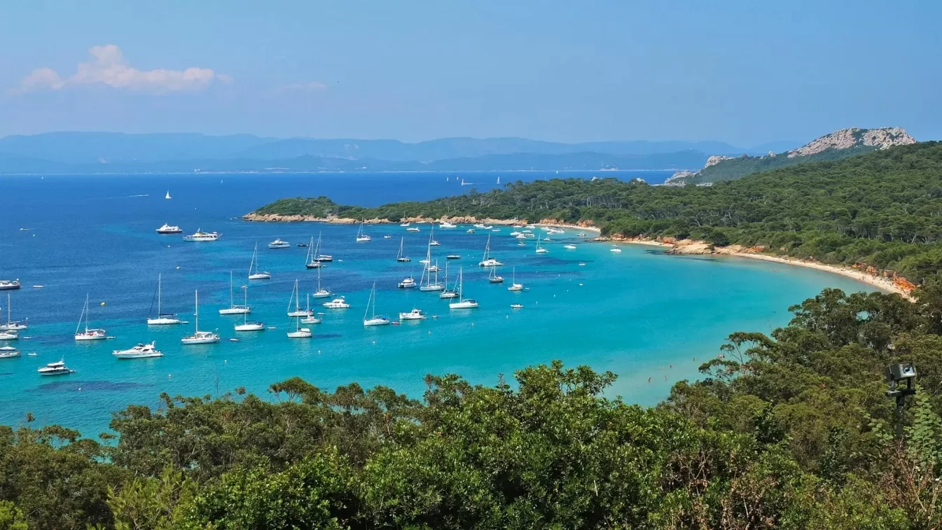 ¿ Cuales son las marcas de autos que mas daño le hacen al medio ambiente ? » 2023