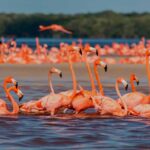 6 autos que fueron un poco decepcionantes en el 2023 »