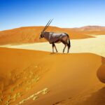 Destinos del Caribe más populares entre los jóvenes en el 2024 »