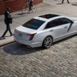 Los 7 mejores destinos de ecoturismo en el Caribe »