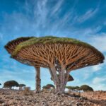 Los 5 problemas más comunes »