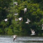 Los 7 destinos más cambiantes con las estaciones »