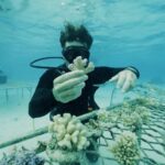 Los 5 Vehículos Eléctricos con Mayor Autonomía del 2025 »