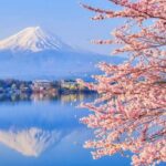 Celebra por todo lo alto el Día Nacional del Tequila (24 de julio) »