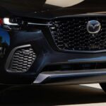 Las 5 ciudades del mundo donde es más fácil hacer amigos locales viajando solo en el 2026 »