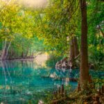 Los 5 estadios del mundo que hay que visitar al menos una vez en la vida »